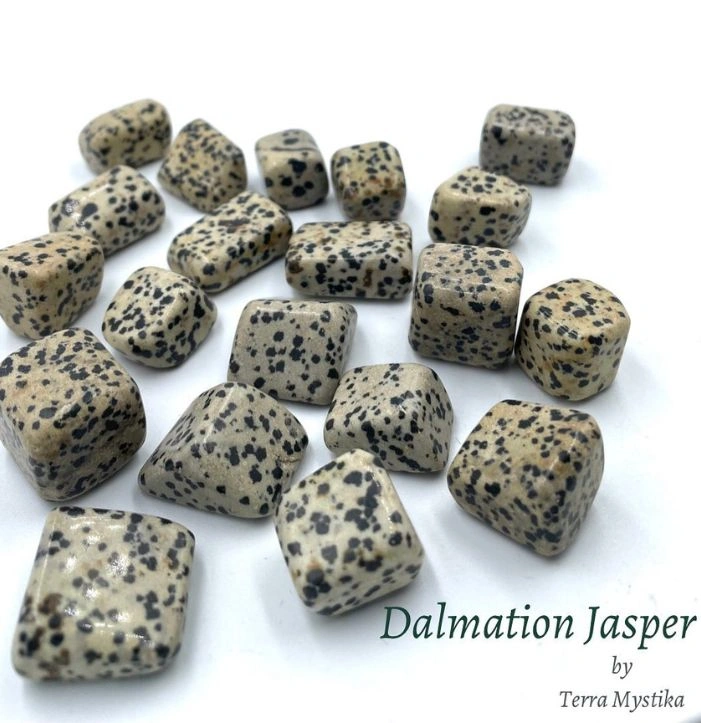 Dalmatian Jasper Crystal