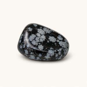 a1dc1618-644d-40e3-a29c-39e15ebed80a Snowflake Obsidian Tumbled Stone