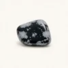 f739aa43-4ef9-417f-bf83-2053fd4e8862 Snowflake Obsidian Tumbled Stone