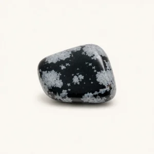 Snowflake Obsidian Tumbled Stone