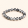a3ef1b70-cfe2-4fef-9ba8-bd14134f0c6b Map Jasper Grey